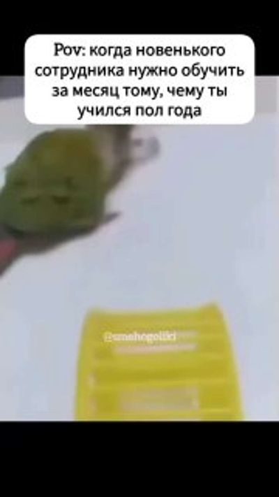 Post media