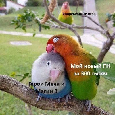Post media