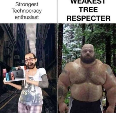 Post media
