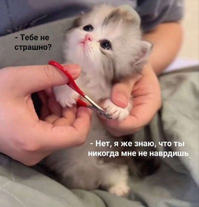 Post media