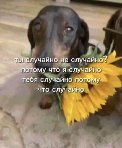 Post media