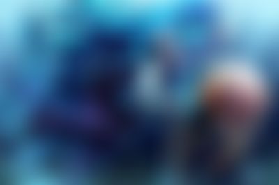 Post media background