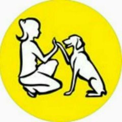 Sunnydog центр обучения владельцев собак avatar