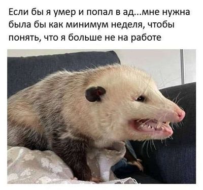 Post media