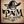 PAM { Link Collection & Anime News } avatar