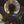 Right Confession avatar