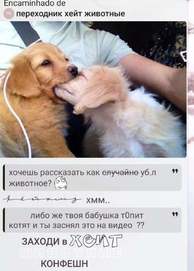 Post media