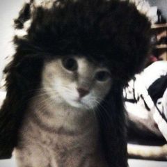 Космосухарек ☨ ⚑ avatar
