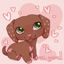 lps confessions 🐈☀️ | littlest pet shop Avatar