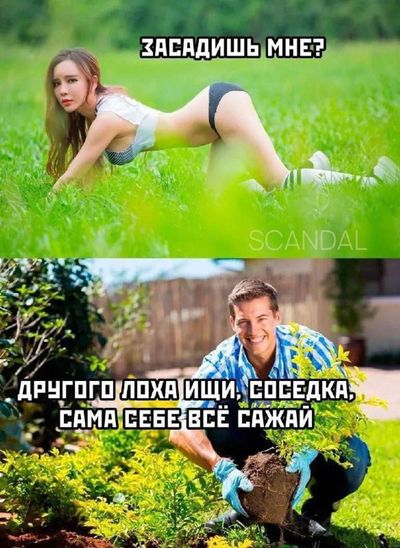 Post media