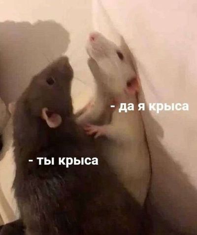 Post media