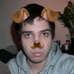 [*´ω｀*] 🥩 avatar