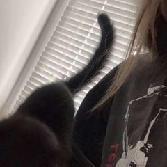 чат avatar