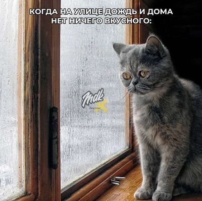 Post media