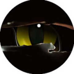 猫眼涨知识 avatar