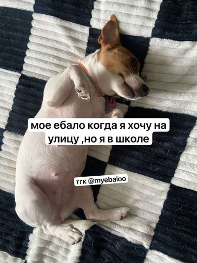 Post media