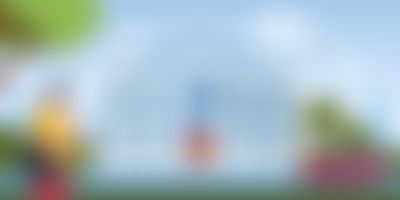 Post media background