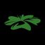 CloverDUB Avatar
