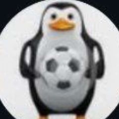 irbiskaa щитпостит avatar