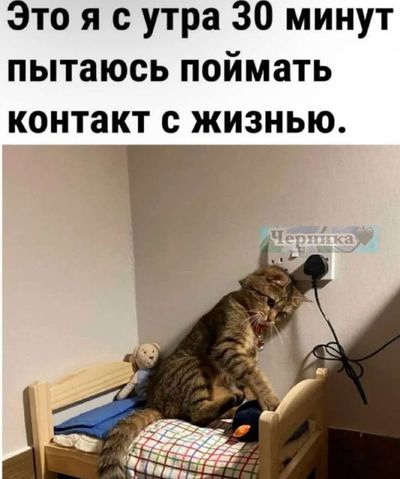 Post media