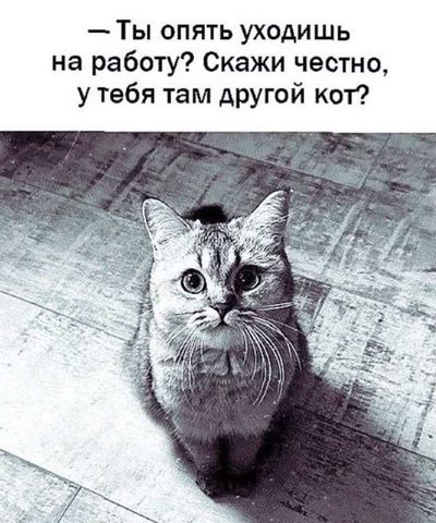 Post media