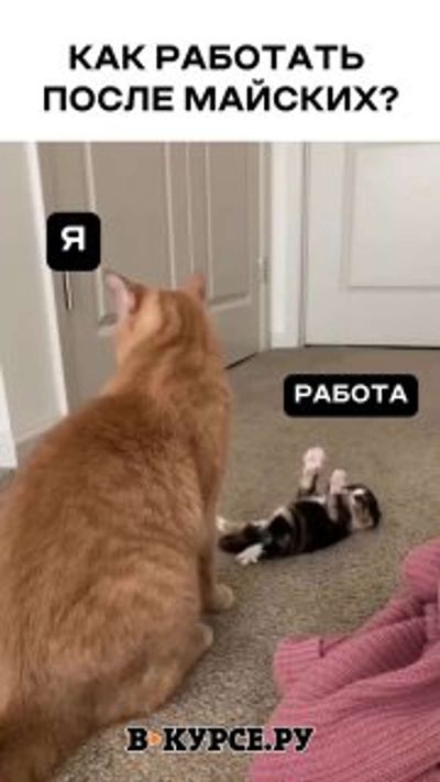 Post media