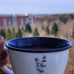 чай с мятой в доме у леса🌲 avatar