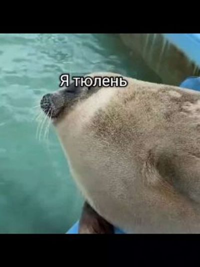 Post media