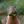 [🐌🎮] Snail Game avatar