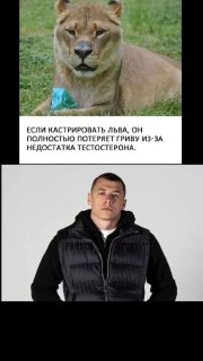 Post media