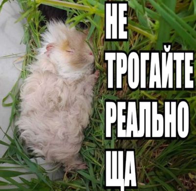 Post media