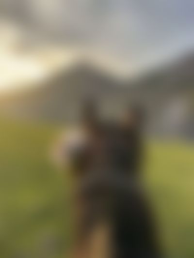 Post media background