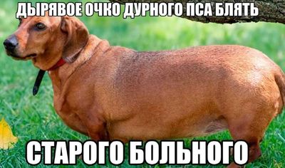Post media