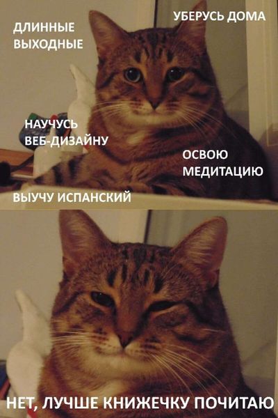 Post media