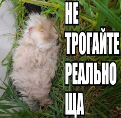 Post media