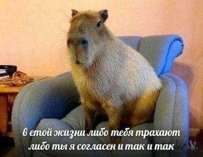 Post media