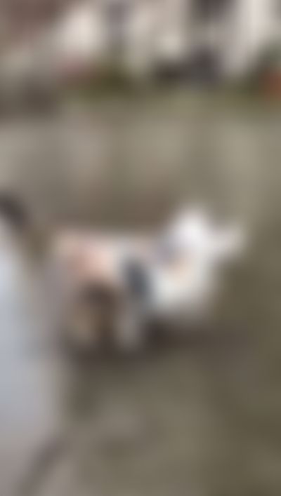 Post media background