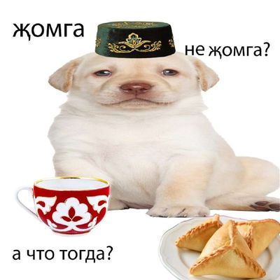 Post media