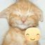 meme animations daily + cf Avatar