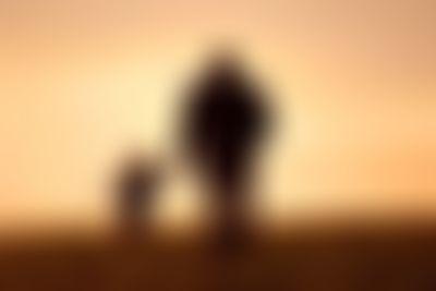 Post media background