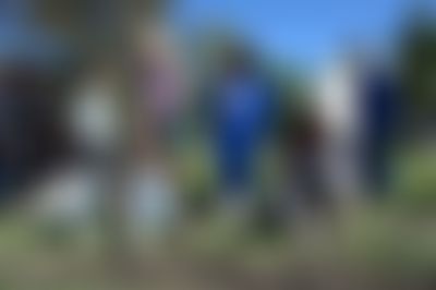 Post media background