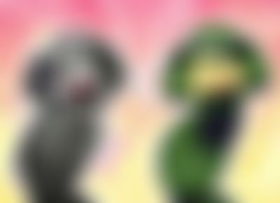 Post media background