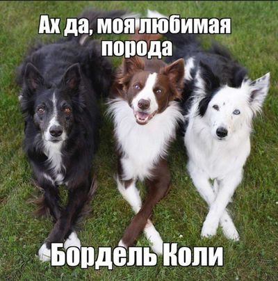 Post media