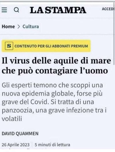 Post media
