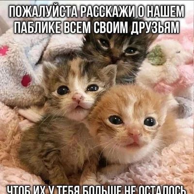 Post media