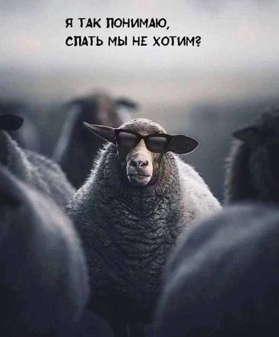 Post media
