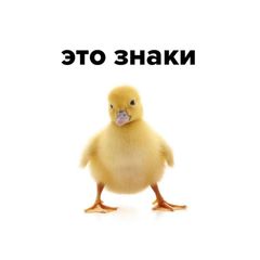 это знаки avatar