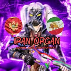 ORGAN GAP🇮🇷 avatar