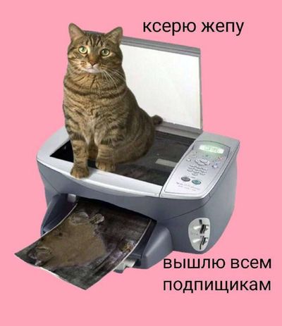 Post media
