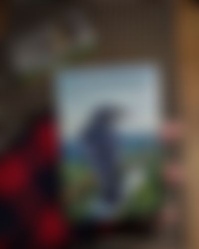 Post media background